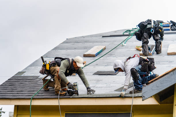 Professional Gutter Installation technician working in Palmetto, FL